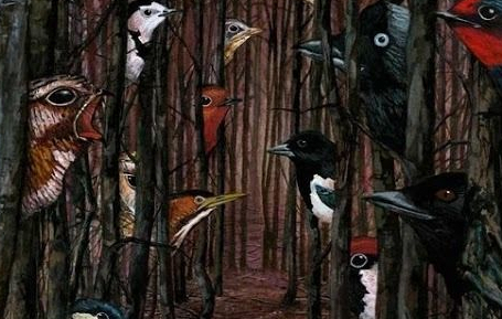 Spectacle contes mille et un oiseau Émile Spectacle contes mille et un oiseau Émile